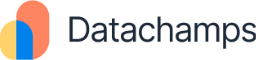 Datachamps logo